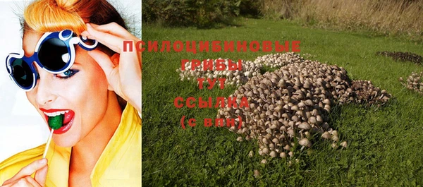 мяу мяу кристалл Горно-Алтайск