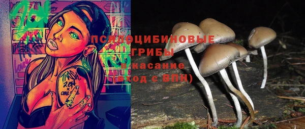 бошки Горняк