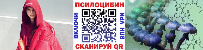 Псилоцибиновые грибы Psilocybe  Дятьково 